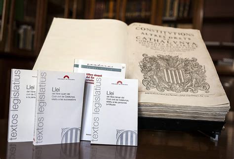 libro 6 código civil català.